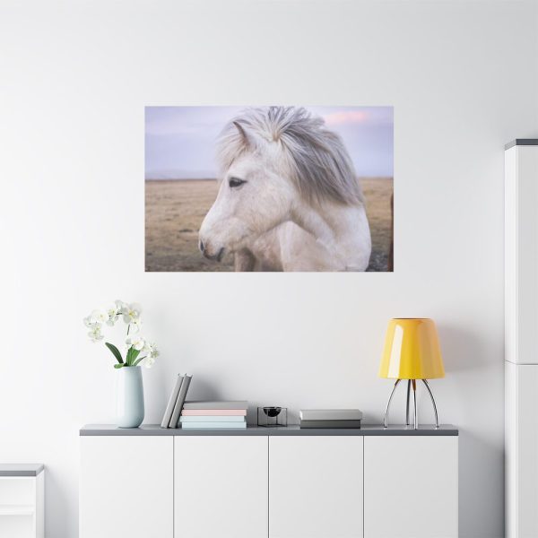 91638-407.jpg A Close-up of a Gray Horse Standard Canvas