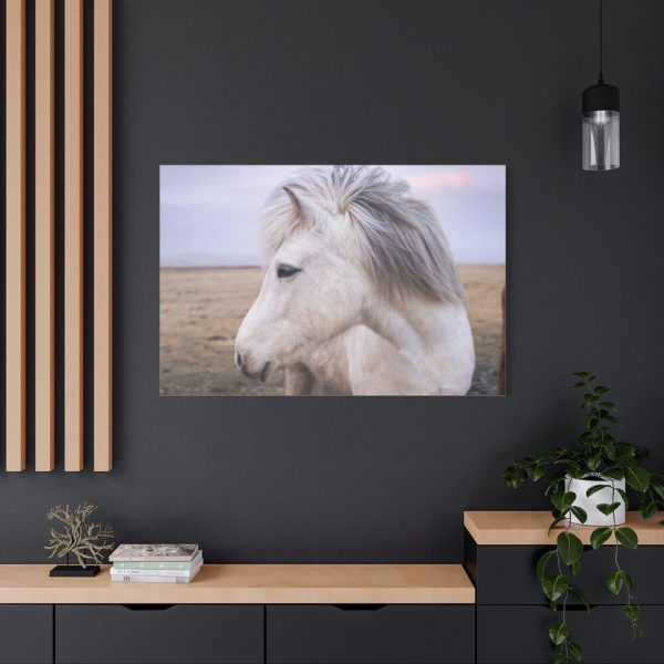91638-408.jpg A Close-up of a Gray Horse Standard Canvas