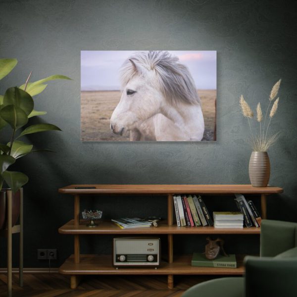 91638-409.jpg A Close-up of a Gray Horse Standard Canvas
