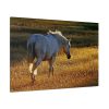 91638-410.jpg White Horses Standard Canvas