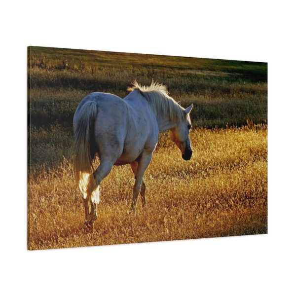 91638-410.jpg White Horses Standard Canvas