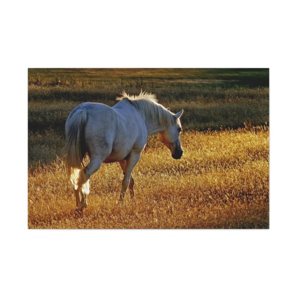 91638-411.jpg White Horses Standard Canvas