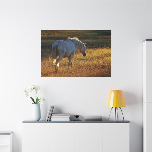 91638-412.jpg White Horses Standard Canvas