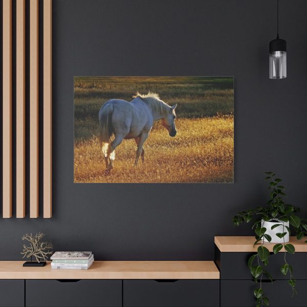 91638-413.jpg White Horses Standard Canvas