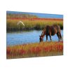 91638-415.jpg Horse Savanna Standard Canvas