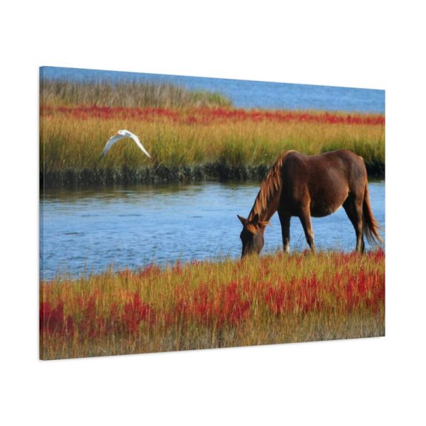 91638-415.jpg Horse Savanna Standard Canvas