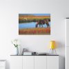 91638-417.jpg Horse Savanna Standard Canvas