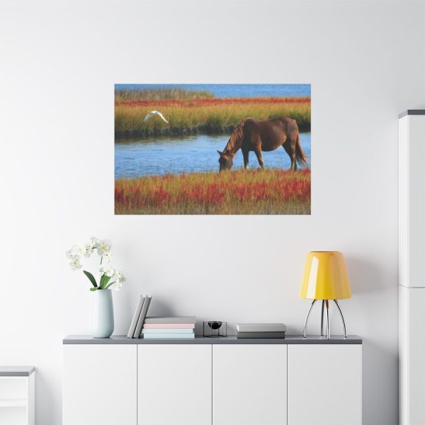 91638-417.jpg Horse Savanna Standard Canvas