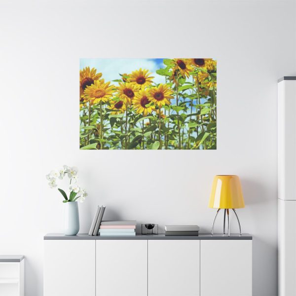 Bloom Sunflower Standard Canvas
