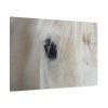 Half of a White Horse Face Standard Canvas