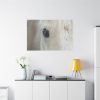 Half of a White Horse Face Standard Canvas