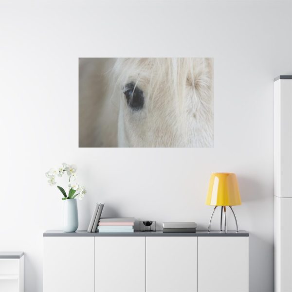 Half of a White Horse Face Standard Canvas