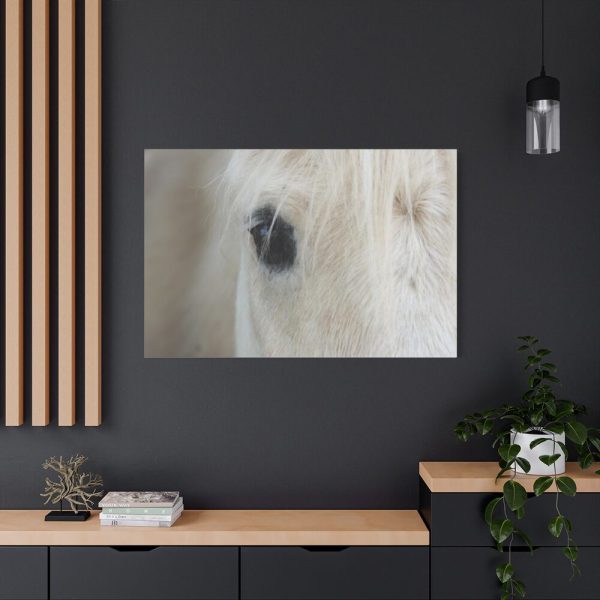 Half of a White Horse Face Standard Canvas