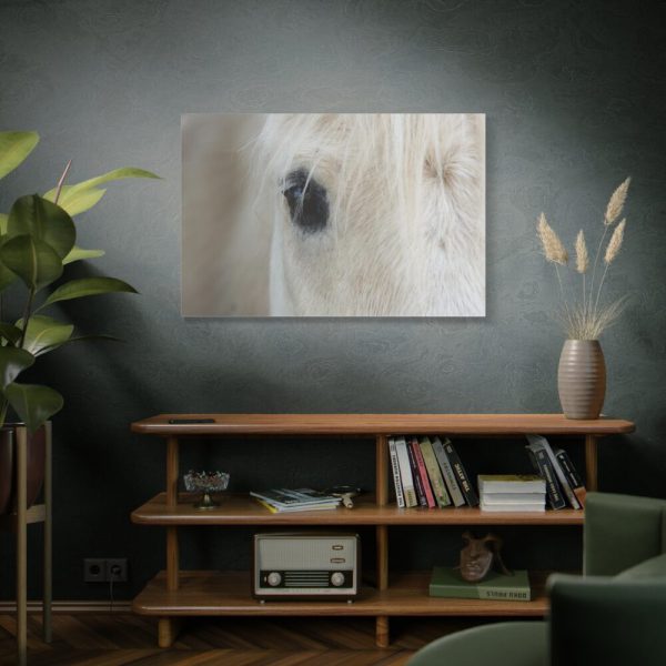 Half of a White Horse Face Standard Canvas