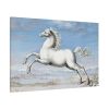 91638-425.jpg White horse Painting by Joris Hoefnagel Standard Canvas