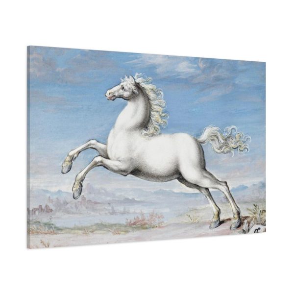 91638-425.jpg White horse Painting by Joris Hoefnagel Standard Canvas