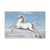 91638-426.jpg White horse Painting by Joris Hoefnagel Standard Canvas