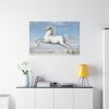 91638-427.jpg White horse Painting by Joris Hoefnagel Standard Canvas