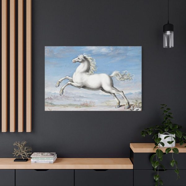 91638-428.jpg White horse Painting by Joris Hoefnagel Standard Canvas