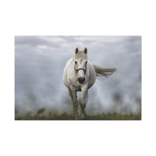 91638-431.jpg White Horse Galloping Standard Canvas