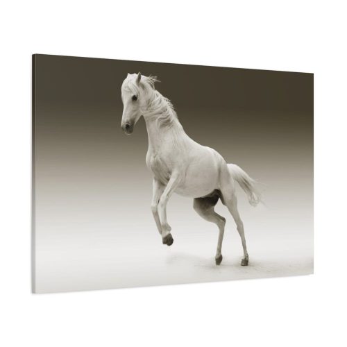 White Horse Standard Canvas