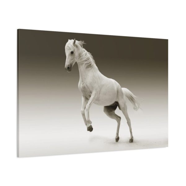 91638-435.jpg White Horse Standard Canvas
