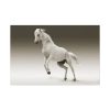 91638-436.jpg White Horse Standard Canvas