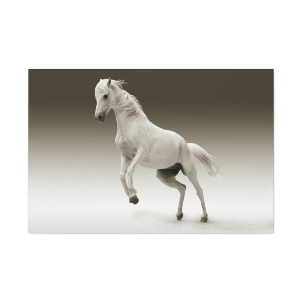 91638-436.jpg White Horse Standard Canvas