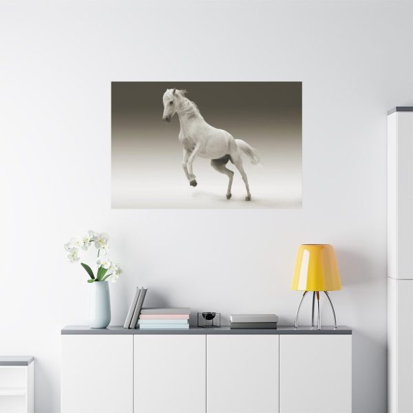 91638-437.jpg White Horse Standard Canvas