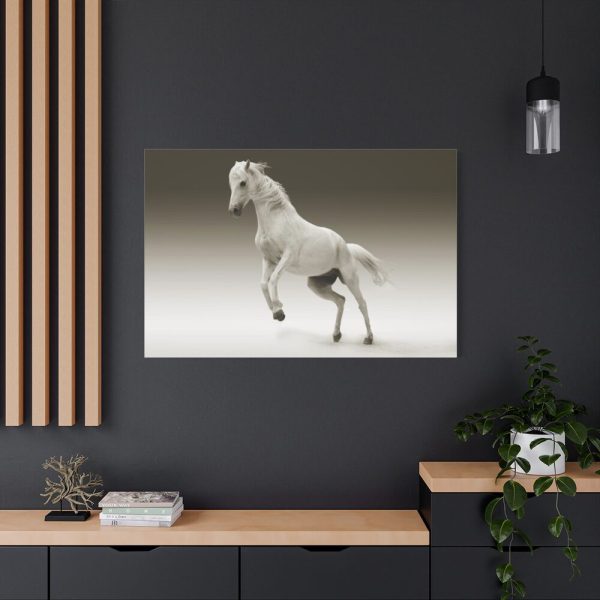 91638-438.jpg White Horse Standard Canvas