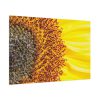 91638-44.jpg Closeup Sunflower Standard Canvas
