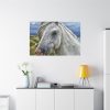 91638-442.jpg Closeup Shot of a White Horse Standard Canvas