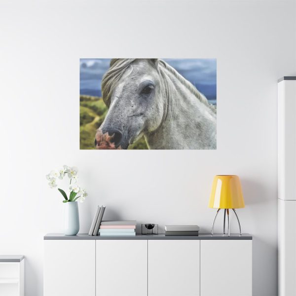 91638-442.jpg Closeup Shot of a White Horse Standard Canvas