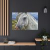 91638-443.jpg Closeup Shot of a White Horse Standard Canvas