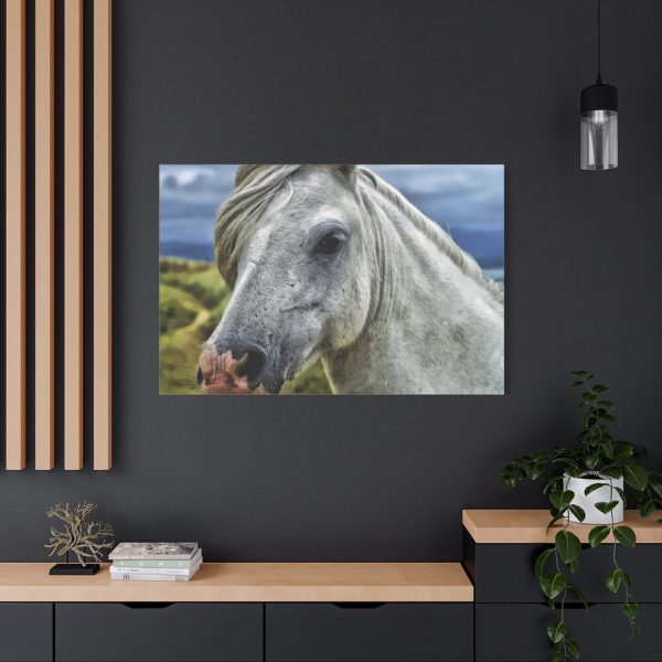 91638-443.jpg Closeup Shot of a White Horse Standard Canvas