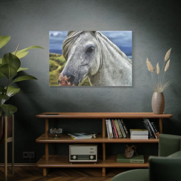 91638-444.jpg Closeup Shot of a White Horse Standard Canvas