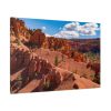 Dixie National Forest Standard Canvas