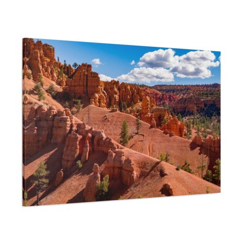 91638-455.jpg Dixie National Forest Standard Canvas