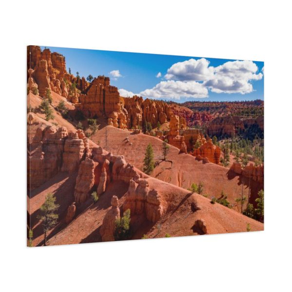 Dixie National Forest Standard Canvas
