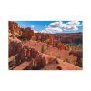 Dixie National Forest Standard Canvas