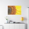 91638-46.jpg Closeup Sunflower Standard Canvas