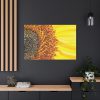 91638-47.jpg Closeup Sunflower Standard Canvas
