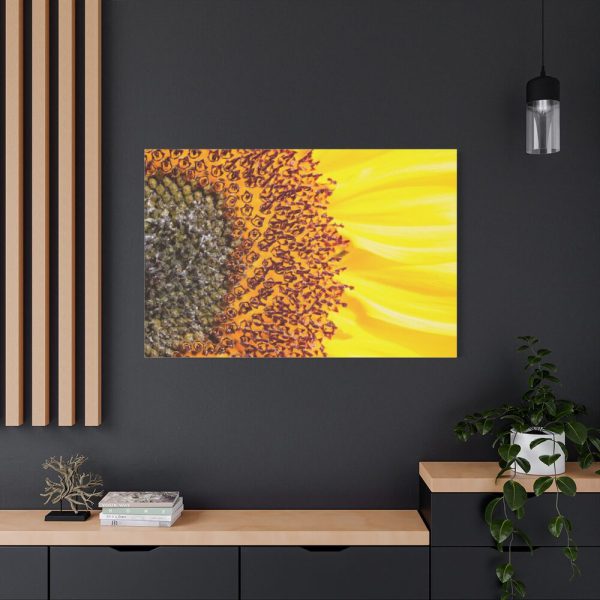 91638-47.jpg Closeup Sunflower Standard Canvas