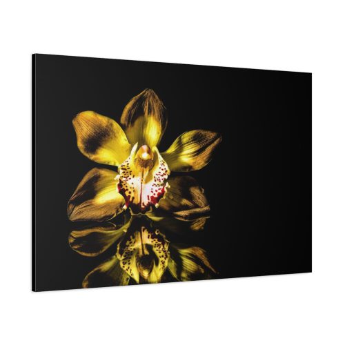 Bloom Orchid Standard Canvas