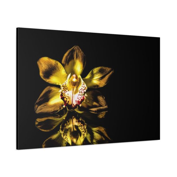 91638-475.jpg Bloom Orchid Standard Canvas