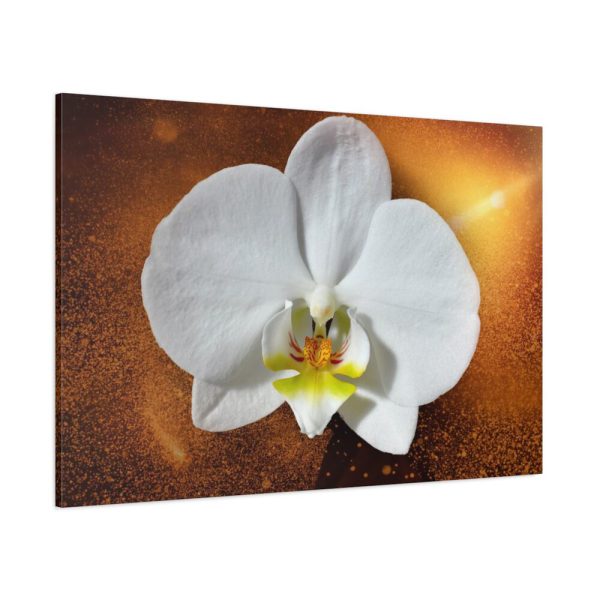 Blossom Orchid Flower Standard Canvas