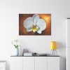 Blossom Orchid Flower Standard Canvas