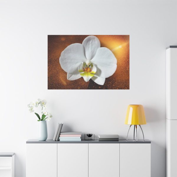 Blossom Orchid Flower Standard Canvas
