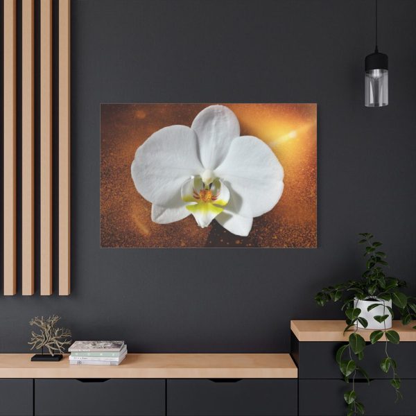 Blossom Orchid Flower Standard Canvas