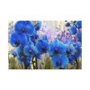 Blue Orchids Standard Canvas
